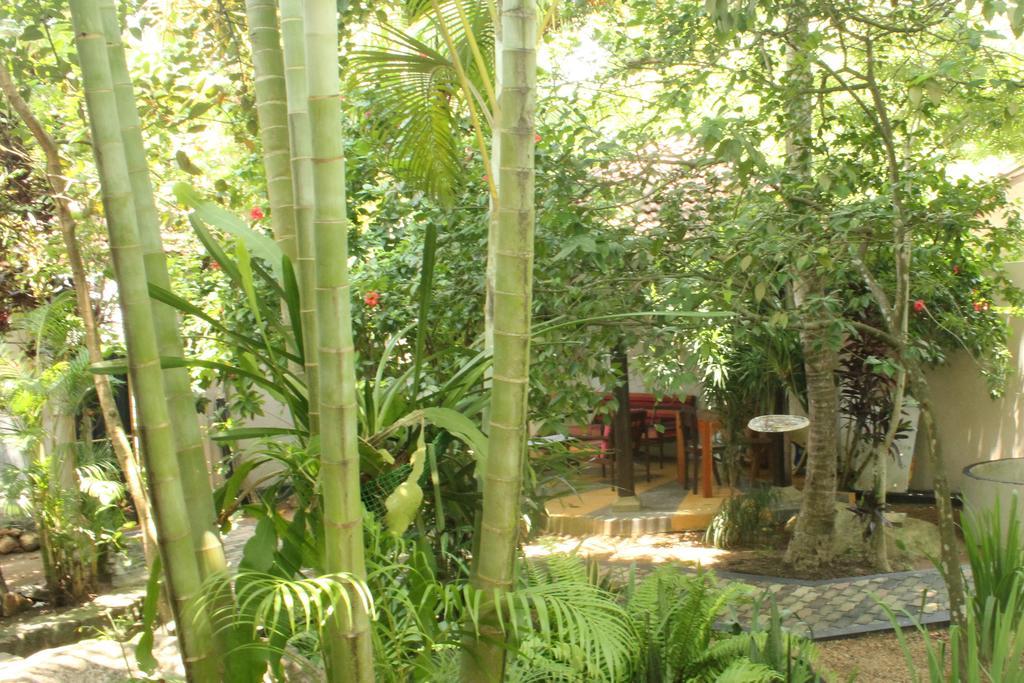 Dionis Villa Unawatuna Εξωτερικό φωτογραφία